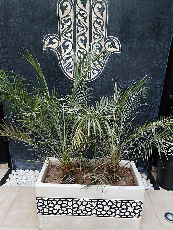 Riad Excellence مراكش المظهر الخارجي الصورة